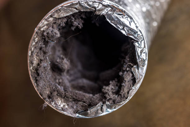 Best Local Air Duct Cleaning Services  in Bridgeport, WA