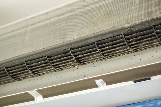 Best Air Duct Cleaning Near Me  in Bridgeport, WA